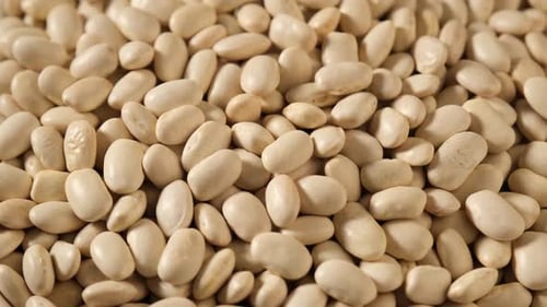 Close Up of Pile of White Beans