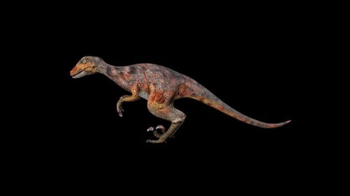 Red Deinonychus Idle