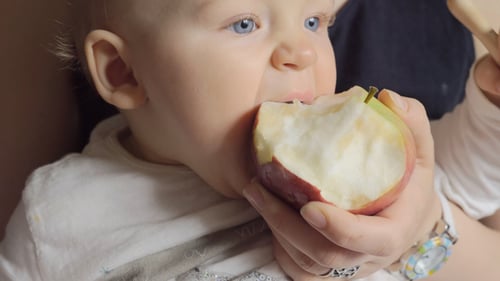 Baby Eating a Large Apple Close Up