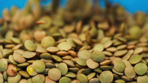 Closeup of Falling Down Green Lentils Into Glass Jar on Blue Background