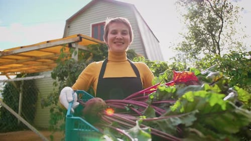 Portrait of Happy Young Farmer with Box of Organic Vegetables