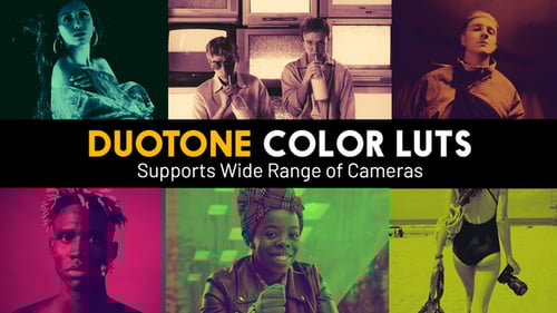 Duotone LUTs