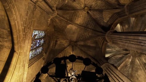 Ceiling of cathedral