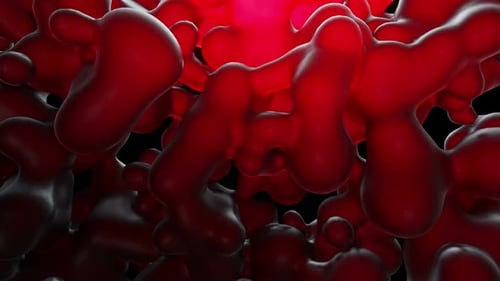 Abstract Red Fluid Blobs Morphing Background Loop