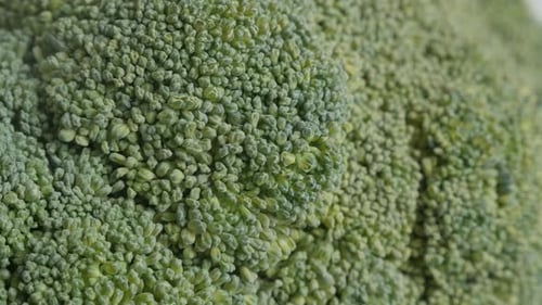 Macro View of Fresh Green Broccoli Florets
