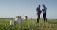 Two Cattle Farmers Communicate Stand in the Pasture Use a Tablet