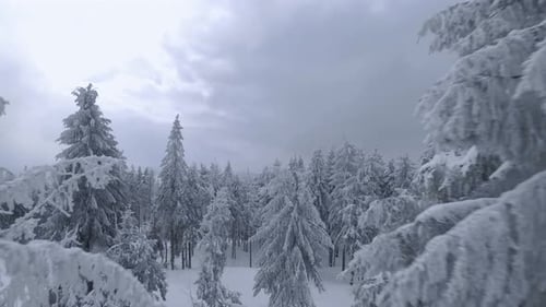 Aerial View of a Fabulous Winter Mountain Landscape Closeup During Snowfall