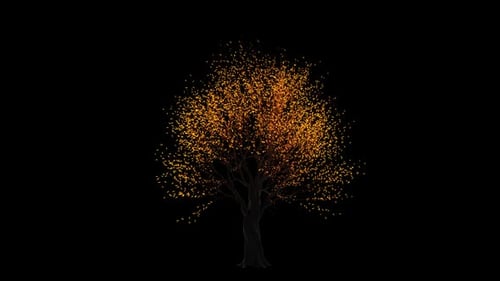 Growing Tree with Golden Glowing Leaves Animation