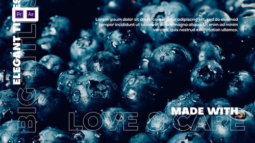 Grandes títulos | Essential Typography V.02 | MOGRT