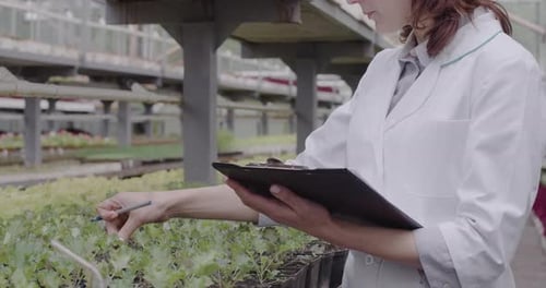 Woman Scientist Examining Plants in Greenhouse