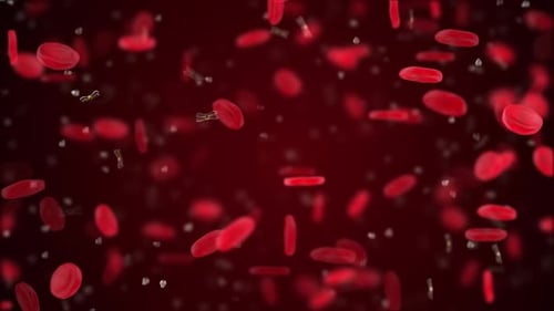 random simulation of blood cells in space