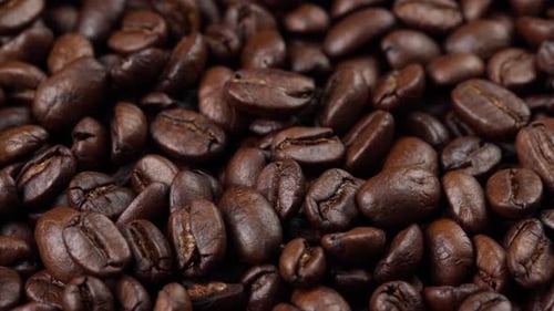Pile of Freshly Roasted Coffee Beans Close-Up