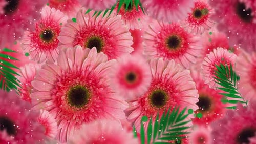Animated Pink Gerbera Flowers and Palm Leaves with Glitter