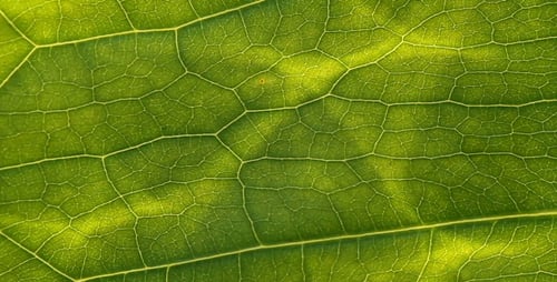 Energía verde