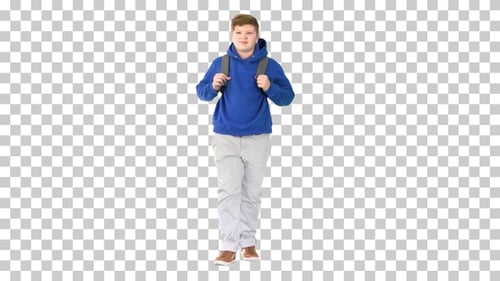 Male student with a backpack walking, Alpha Channel