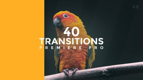 Modern Dynamic Transitions Pack for Video Projects