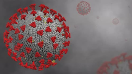 Animated 3D Coronavirus Particle Rotating on a Grey Background