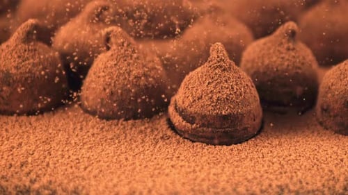 Delicious Chocolate Truffles Sprinkled With Cocoa Powder