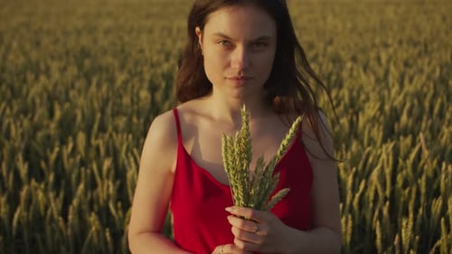 Woman Holding Wheat in Golden Field at Sunset