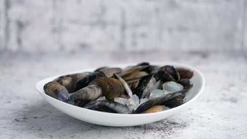 Fresh and Raw Sea Mussels in White Ceramic Bowl on Stone Background