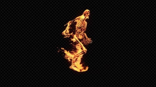 Burning 3D Skeleton Run 2