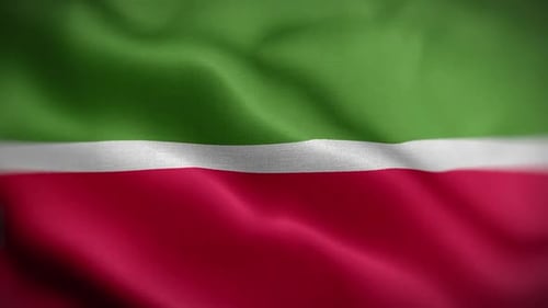 Seamless Waving Flag Background Animation