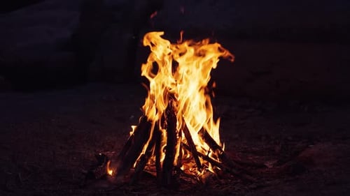 burning bonfire on a summer evening next to forest