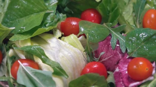 Close up of fresh salad with tomatoes