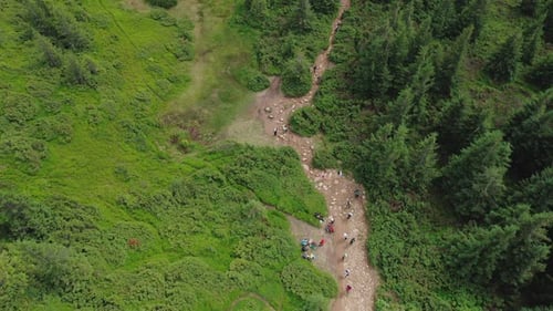 Aerial Top View of Hikers with Backpacks Walking Along a Forest Path