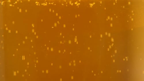 Close Up of Beer with Rising Bubbles