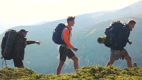 People Hiking up a Grassy Mountain Path