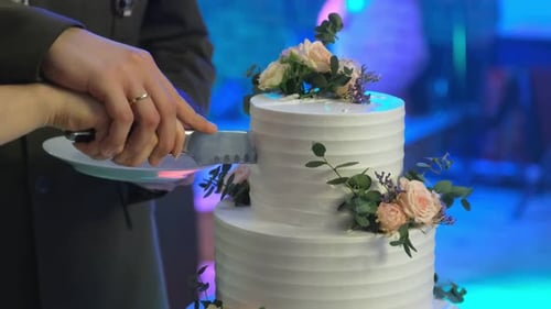 Newlyweds cutting the Wedding Cake at Reception