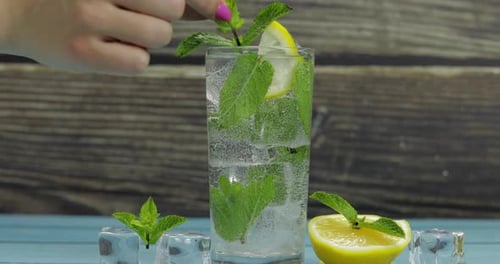 Clear Water in Glass with Green Mint Leaves and Ice Cubes