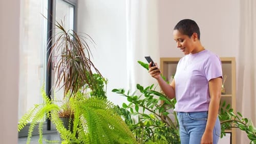 Woman Using Smartphone Among Houseplants Indoors