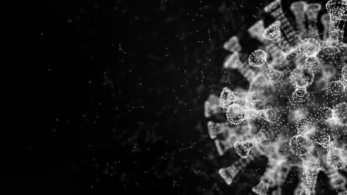 Plexusvirus Version 2