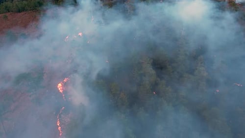 Extinguishing Forest Fire