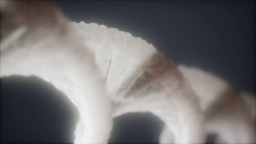 Loop Double Helical Structure of Dna Strand Close-up Animation