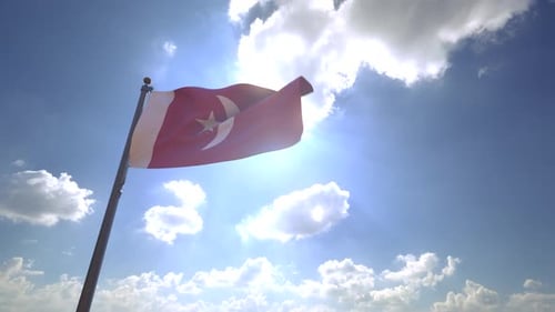 Red Crescent Star Flag Waving in Sunny Sky