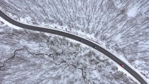 Cars Driving on Winter Forest Road