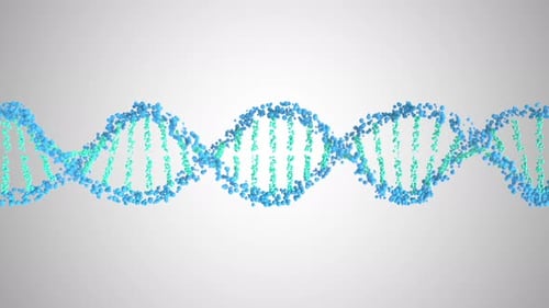 DNA Helix