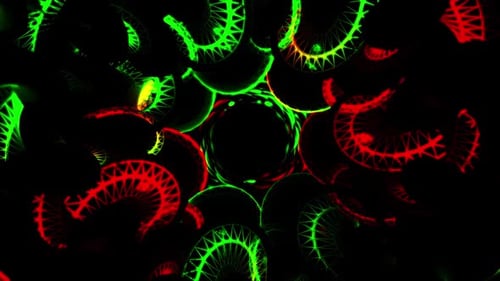 3d neon light tunnel