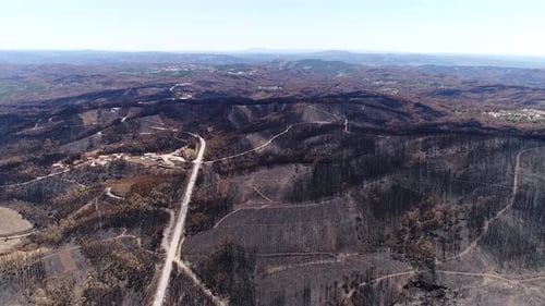 Nature Disater. After Forest Fire