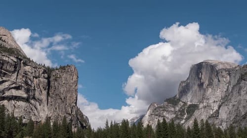 Yosemite Park