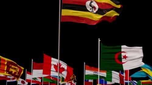 Animated Waving Country Flags with Focus Transition