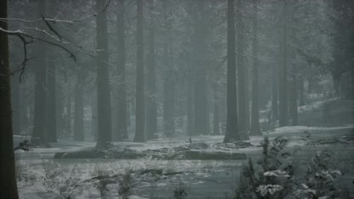 Winter Snowcovered Forest on a Cloudy Day