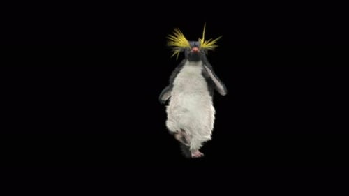 Penguin Dancing 4K