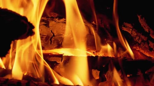 Lagerfeuer. Lagerfeuer aus Ästen brennt nachts. Zeitlupe