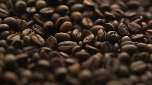 Kaffeebohne, Zeitlupe