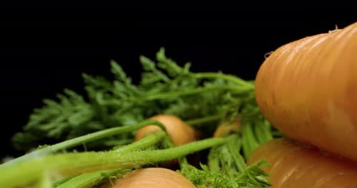 carrots super macro close up
