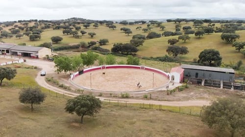 Imágenes de Zumbido de un hombre a caballo entrenando en una plaza de toros